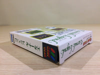 DK6812 Eternal Legend Eien no Densetsu BOXED Sega Game Gear Japan