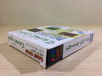 DK6812 Eternal Legend Eien no Densetsu BOXED Sega Game Gear Japan