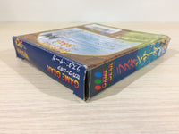 dk6051 Rastan Saga BOXED Sega Game Gear Japan