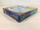 dk6051 Rastan Saga BOXED Sega Game Gear Japan
