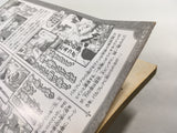 AAA1389 Final Fantasy XII Vol.3 Japanese Manga