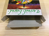DK6812 Eternal Legend Eien no Densetsu BOXED Sega Game Gear Japan