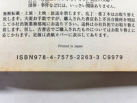 AAA1389 Final Fantasy XII Vol.3 Japanese Manga