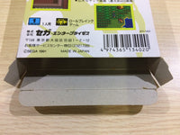 DK6812 Eternal Legend Eien no Densetsu BOXED Sega Game Gear Japan