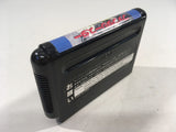 DK4938 Phantasy Star Sennenki no Owari ni BOXED Mega Drive Genesis Japan