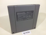 Same Game SNES Super Famicom Japan - SJ1434