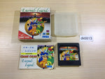 DK6813 Eternal Legend Eien no Densetsu BOXED Sega Game Gear Japan
