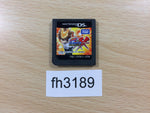 FH3189 Reborn! Nintendo DS Japan
