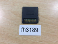 FH3189 Reborn! Nintendo DS Japan