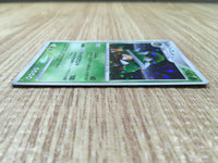 CD9717 Torterra - DPE08 Torterra Pokemon Card TCG Japan
