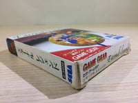 DK6813 Eternal Legend Eien no Densetsu BOXED Sega Game Gear Japan