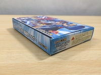 UE8508 Rockman Exe 6 Cybeast Falzar Megaman BOXED GameBoy Advance Japan