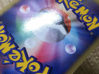 CD9717 Torterra - DPE08 Torterra Pokemon Card TCG Japan