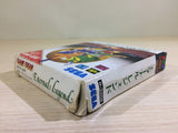 DK6813 Eternal Legend Eien no Densetsu BOXED Sega Game Gear Japan