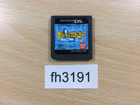 FH3191 Digimon World Story Nintendo DS Japan