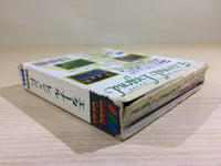 DK6813 Eternal Legend Eien no Densetsu BOXED Sega Game Gear Japan