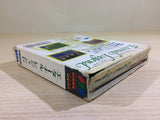 DK6813 Eternal Legend Eien no Densetsu BOXED Sega Game Gear Japan