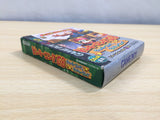 UE6311 Donkey Kong Land 3 Diddy Kong Dixie Kong BOXED GameBoy Game Boy Japan