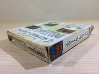 DK6813 Eternal Legend Eien no Densetsu BOXED Sega Game Gear Japan