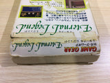 DK6813 Eternal Legend Eien no Densetsu BOXED Sega Game Gear Japan