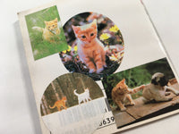 DK7040 A Kitten's Story The Adventures of Chatran BOXED Famicom Disk Japan