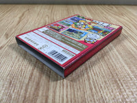 FH7209 Paper Mario The Thousand Year Door BOXED GameCube Japan