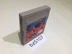 BZ5107 Tetris GameBoy Game Boy Japan