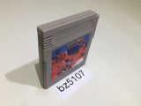 BZ5107 Tetris GameBoy Game Boy Japan