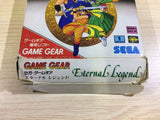 DK6813 Eternal Legend Eien no Densetsu BOXED Sega Game Gear Japan