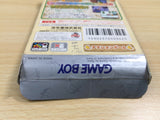 UE6311 Donkey Kong Land 3 Diddy Kong Dixie Kong BOXED GameBoy Game Boy Japan