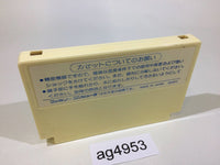 ag4953 Hydlide Special NES Famicom Japan