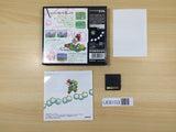 UE8103 Yoshi Touch & Go BOXED Nintendo DS Japan