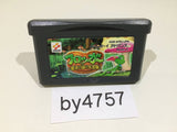 BY4757 Frogger's Adventures 2 The Lost Wand Frogger GameBoy Advance Japan