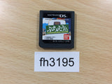 FH3195 Petit Eva EVANGELION SCHOOL Nintendo DS Japan