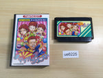 UE6225 La Salle Ishii no Child's Quest BOXED NES Famicom Japan