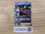 CE5828 Grant SR s10P 078/067 Pokemon Card TCG Japan