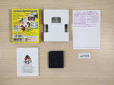 Arle no Bouken Mahou no Jewel Puyo Puyo BOXED GameBoy Game Boy Japan - UE2994