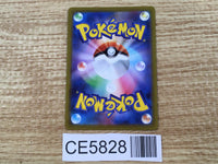 CE5828 Grant SR s10P 078/067 Pokemon Card TCG Japan