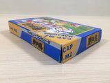 Higemaru Makaijima BOXED NES Famicom Japan - UE4333