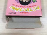 Chibi Maruko chan Okozukai Daisakusen BOXED GameBoy Game Boy Japan - UE4939
