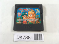 DK7881 Wonder Boy Sega Game Gear Japan