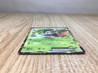 CE7829 Shaymin EX R BW3PD 005/052 Pokemon Card TCG Japan