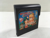 DK7881 Wonder Boy Sega Game Gear Japan