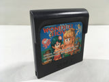 DK7881 Wonder Boy Sega Game Gear Japan