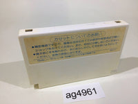 ag4961 The Castle Excellent NES Famicom Japan