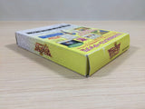 Dragon Quest Monsters 2 Iru BOXED GameBoy Game Boy Japan - UE2621