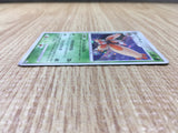 CD9724 Mothim - PROMO 079/DP-P Pokemon Card TCG Japan