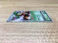 CE2785 Torterra - PROMO 076/DP-P Pokemon Card TCG Japan