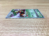 CE2785 Torterra - PROMO 076/DP-P Pokemon Card TCG Japan