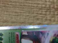 CE2785 Torterra - PROMO 076/DP-P Pokemon Card TCG Japan